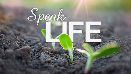 Speak Life (Part 3) | Pastor Fred McCarthy